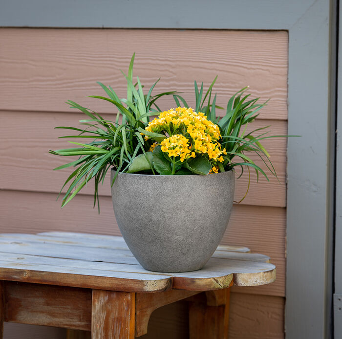 9" Egg Planter image number 1