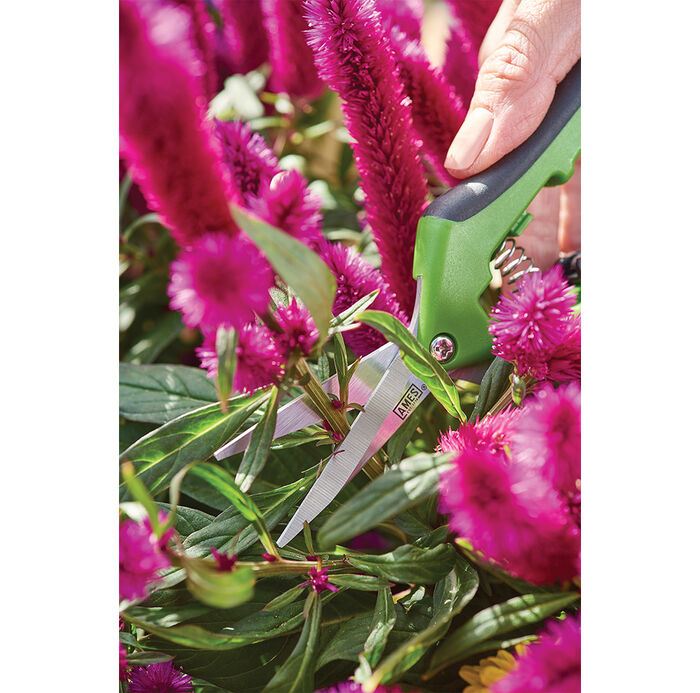 4-Piece Pruning Tool Kit With Case image number 14