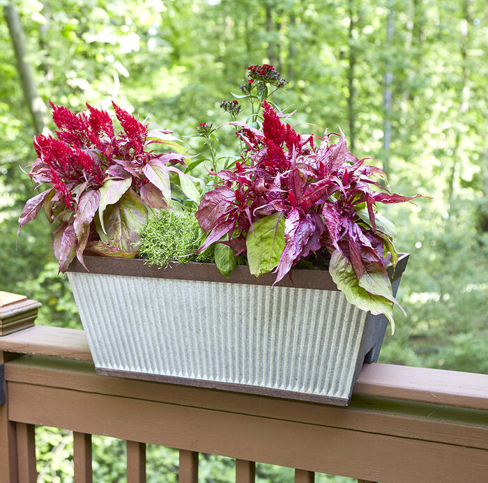 24" Westlake Deck Rail Planter image number 1