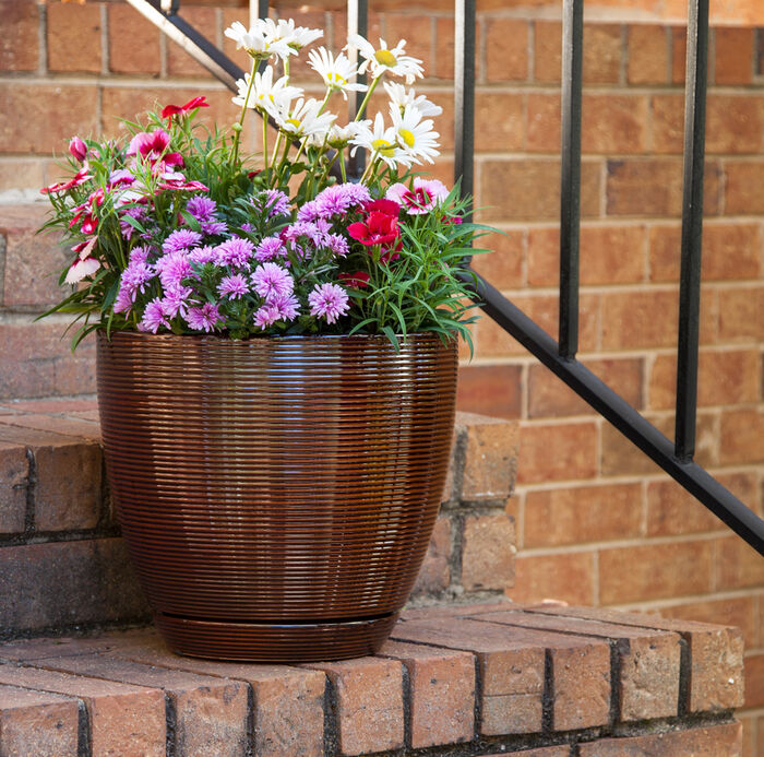8" Caylin Ceramic Planter, Java (2-pack) image number 1
