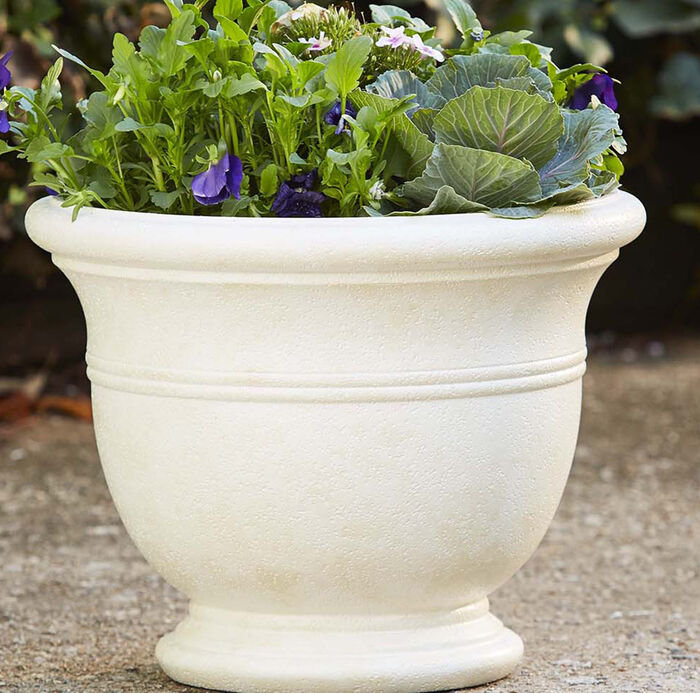 19" Jean Pierre Planter image number 1