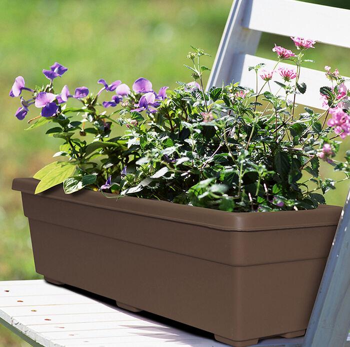 24" Promotional Window Box image number 1