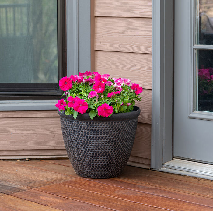 Cromarty Planter Home by AMES