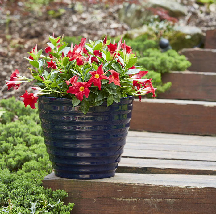 14" Beehive Planter image number 1