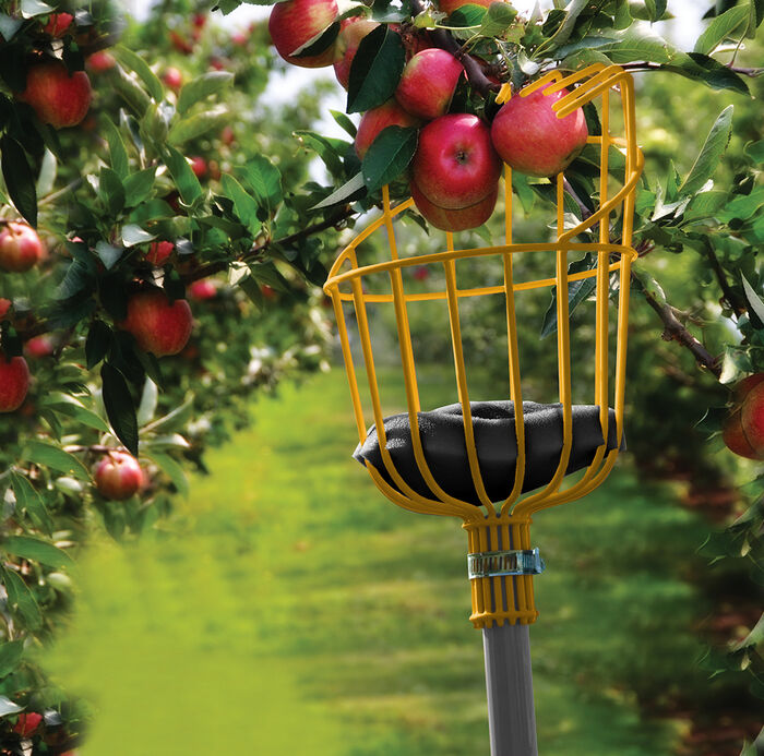 10-Foot Fruit Harvester image number 3