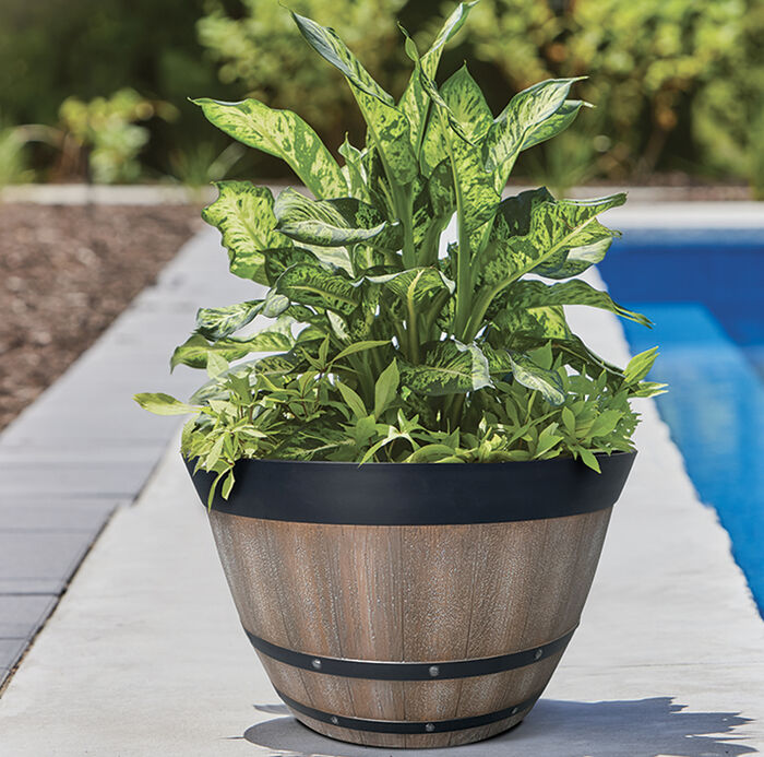 22 IN Pinot Barrel image number 4