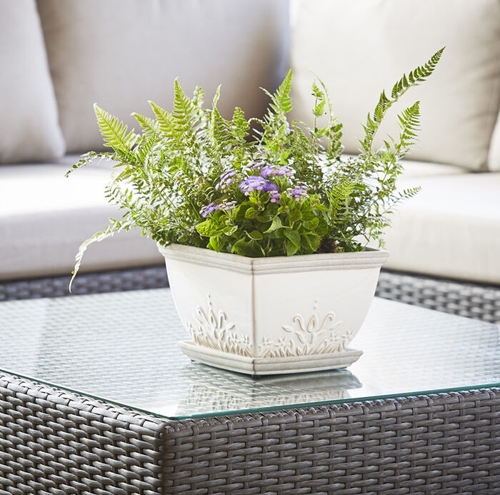 8" Brentwood Square Ceramic Planter, White (2-pack) image number 2