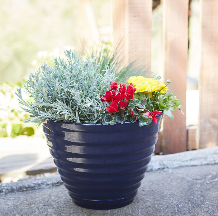 16" Beehive Planter w/ Saucer image number 2