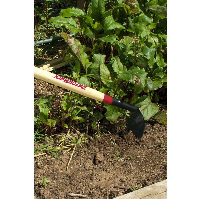 6 Inch Nursery/Beet Hoe, Forged, with Wood Handle image number 1