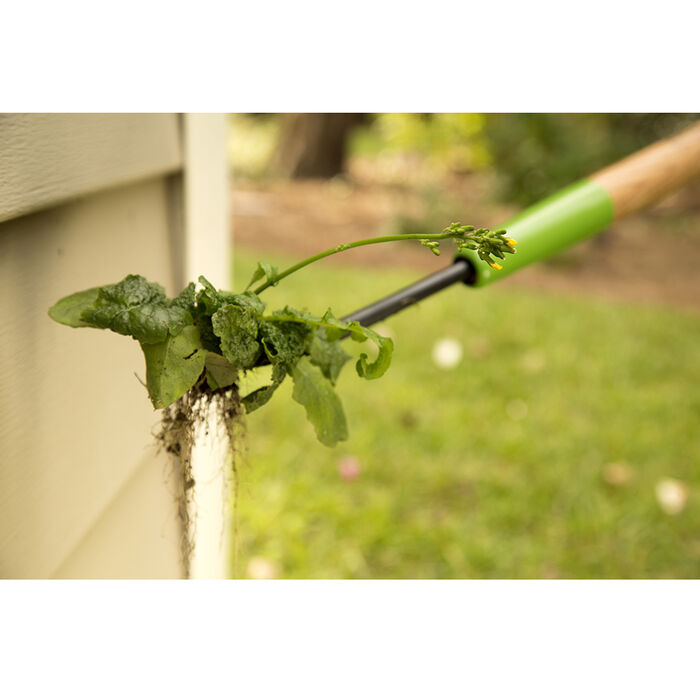 Forged Dandelion Weeder image number 2