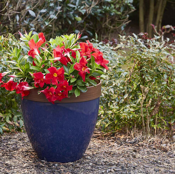 15" Resin Hornsby Planter in Navy Finish image number 7