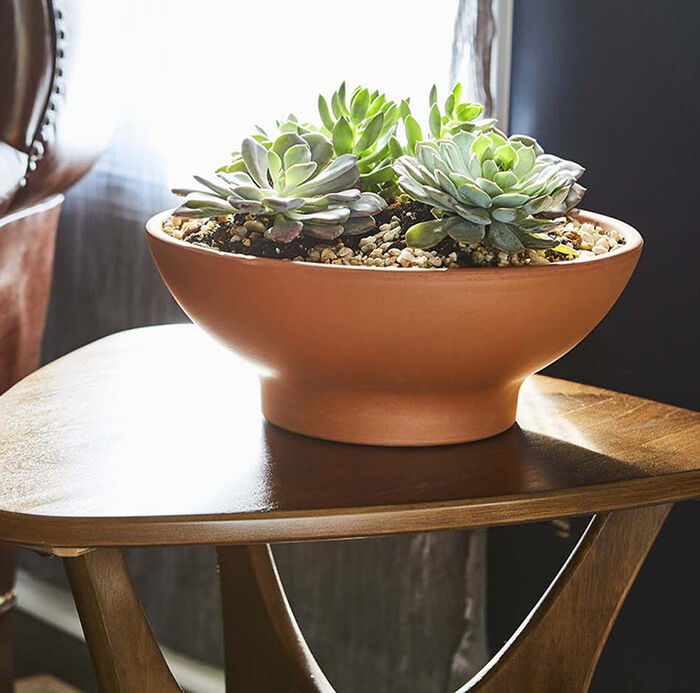 12" Clay Low Bowl image number 2