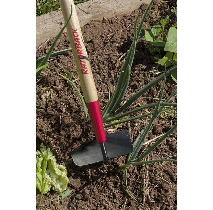 7 Inch Cotton Hoe, Forged, with Wood Handle image number 1