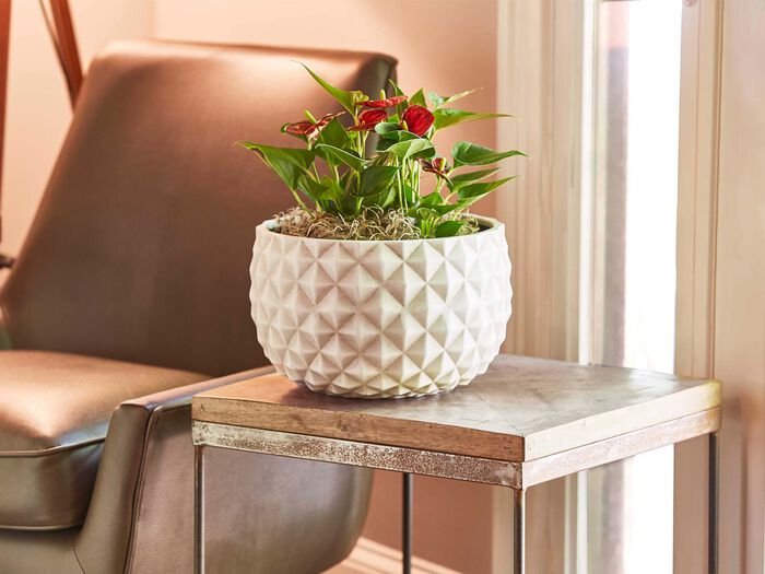 12" Pineapple Planter Bowl image number 1