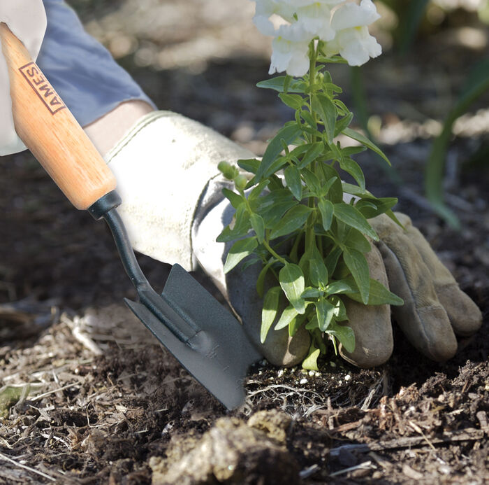 Hand Transplanter with Wood Handle image number 1
