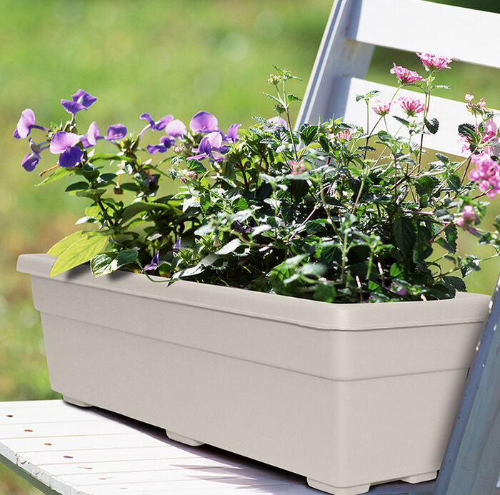 24" Promotional Window Box image number 1