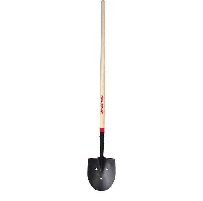 Rice Shovel with Wood Handle