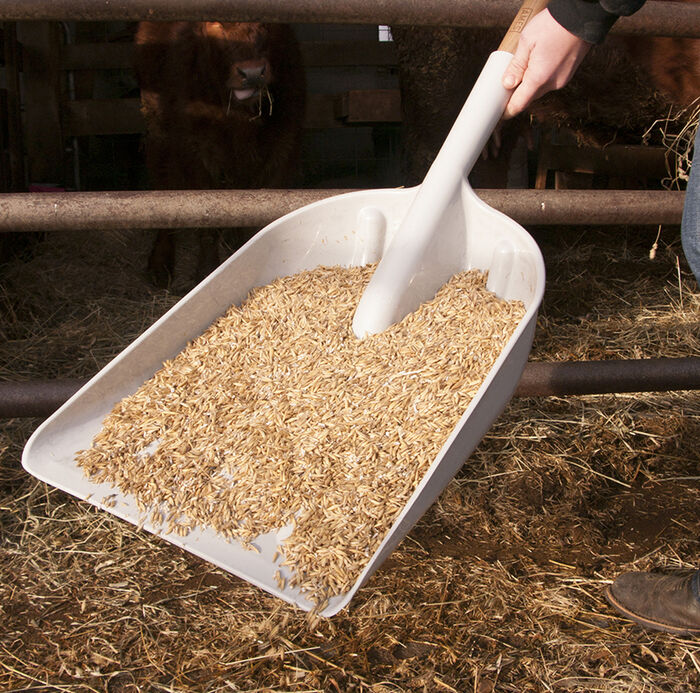 D-Handle #12 Poly Scoop image number 1