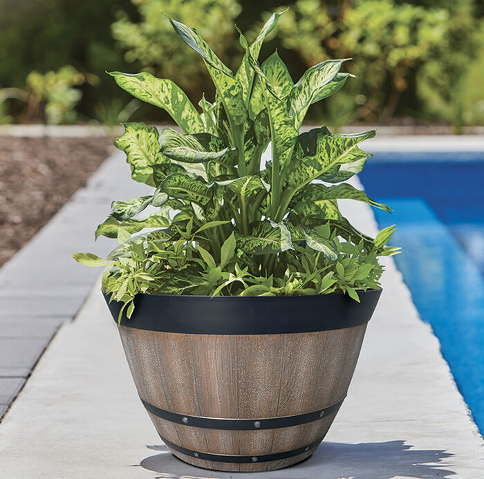 15 IN Pinot Barrel image number 4