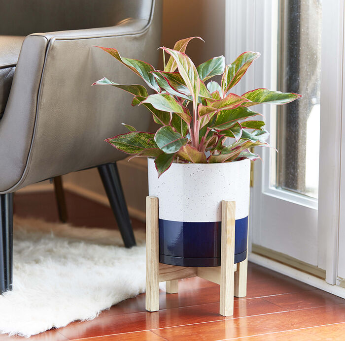 8" Henrietta Planter in White & Blue Two Tone Finish w/ Wood Stand image number 4