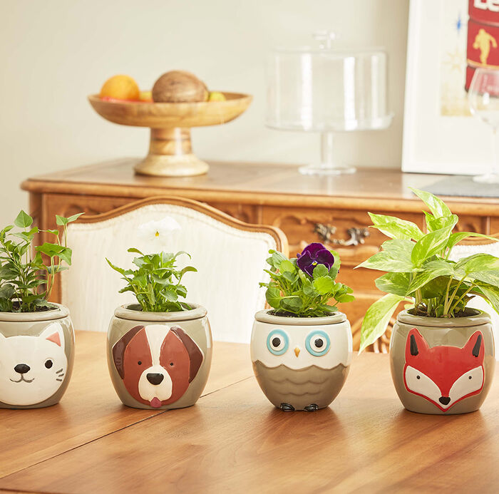 Ceramic Self-Watering Tray Pack image number 1