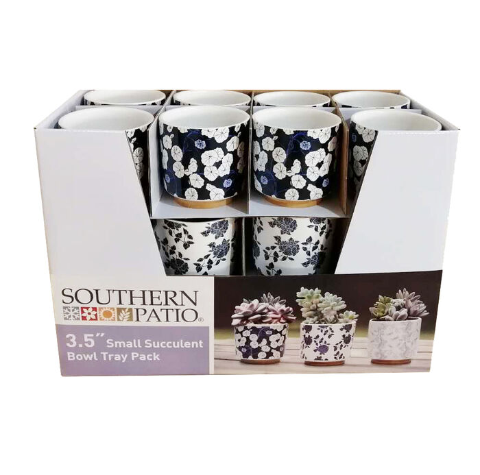 Small Succulent Bowl Tray Pack image number 0