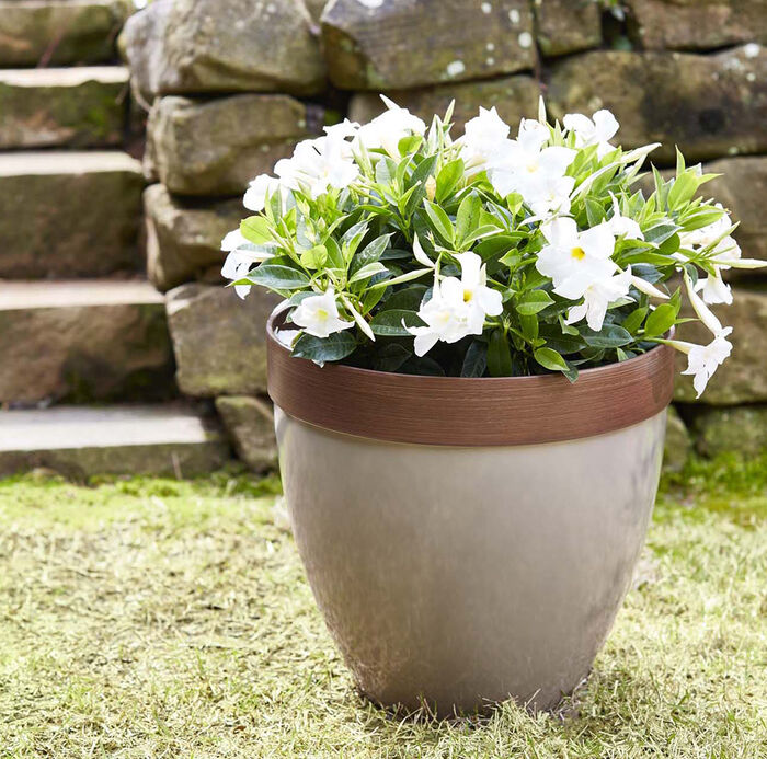15" Resin Hornsby Planter in Taupe Finish image number 3