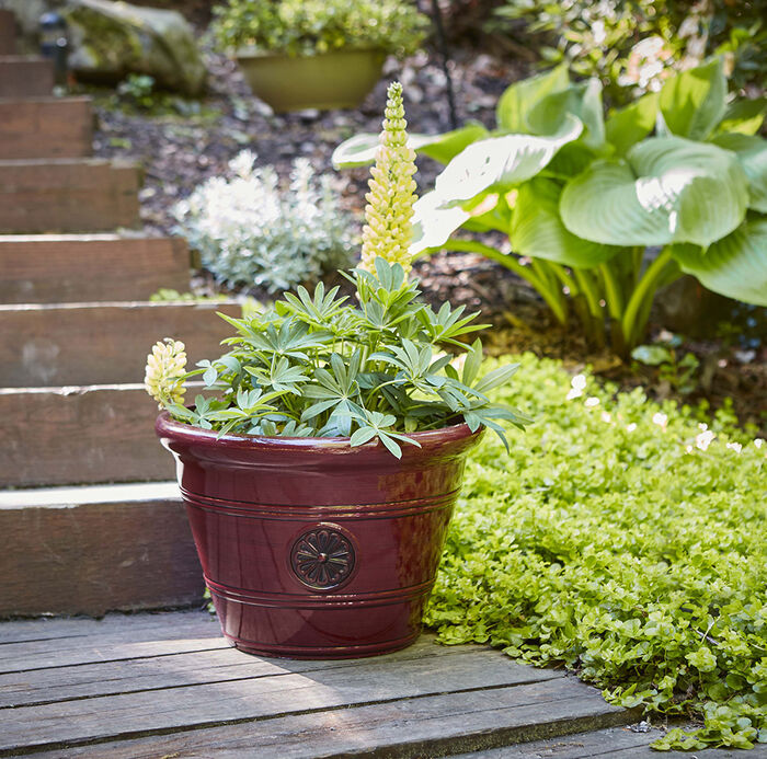 12" Modesto Planter image number 1