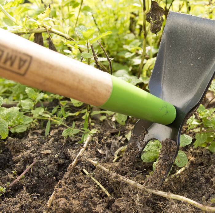 2-Prong Weeder Hoe image number 2
