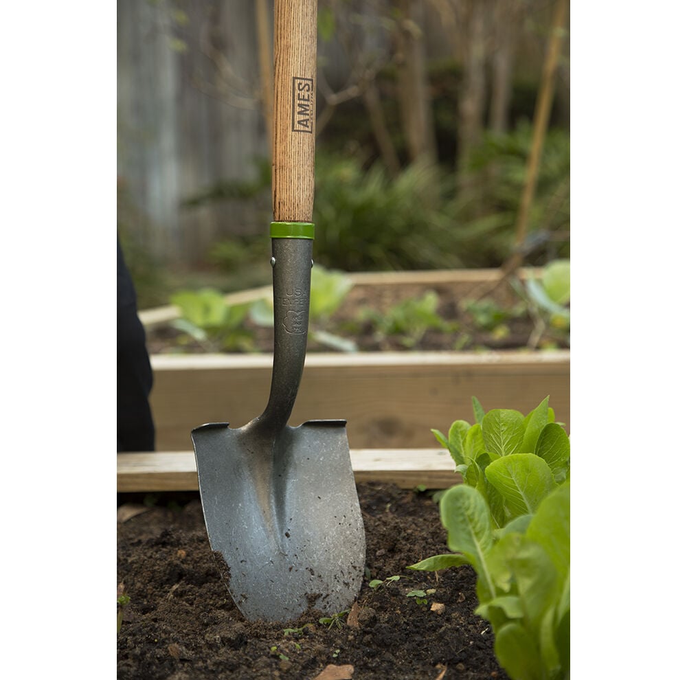 Ames Round Point Shovel - Thumbnail 4