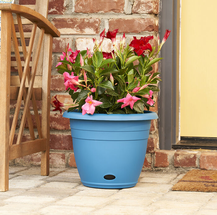 8" Jackson Self-Watering Planter image number 1