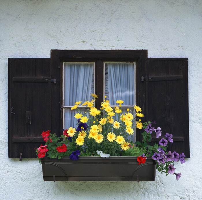 24" Medallion Window Box image number 1