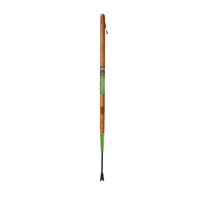 Forged Dandelion Weeder