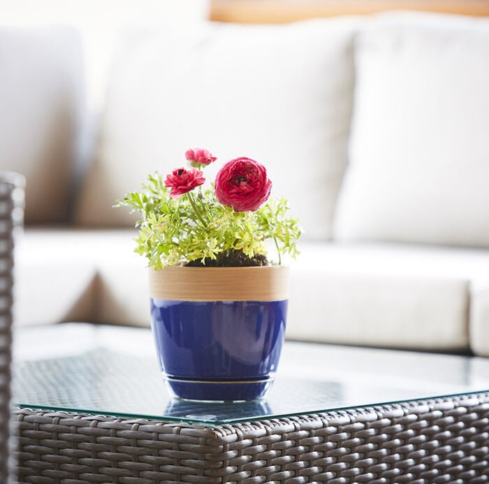 Ana Planter image number 1