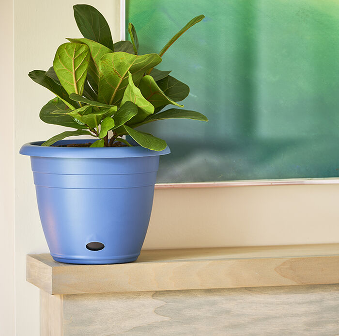 11" Jackson Self-Watering Planter image number 1