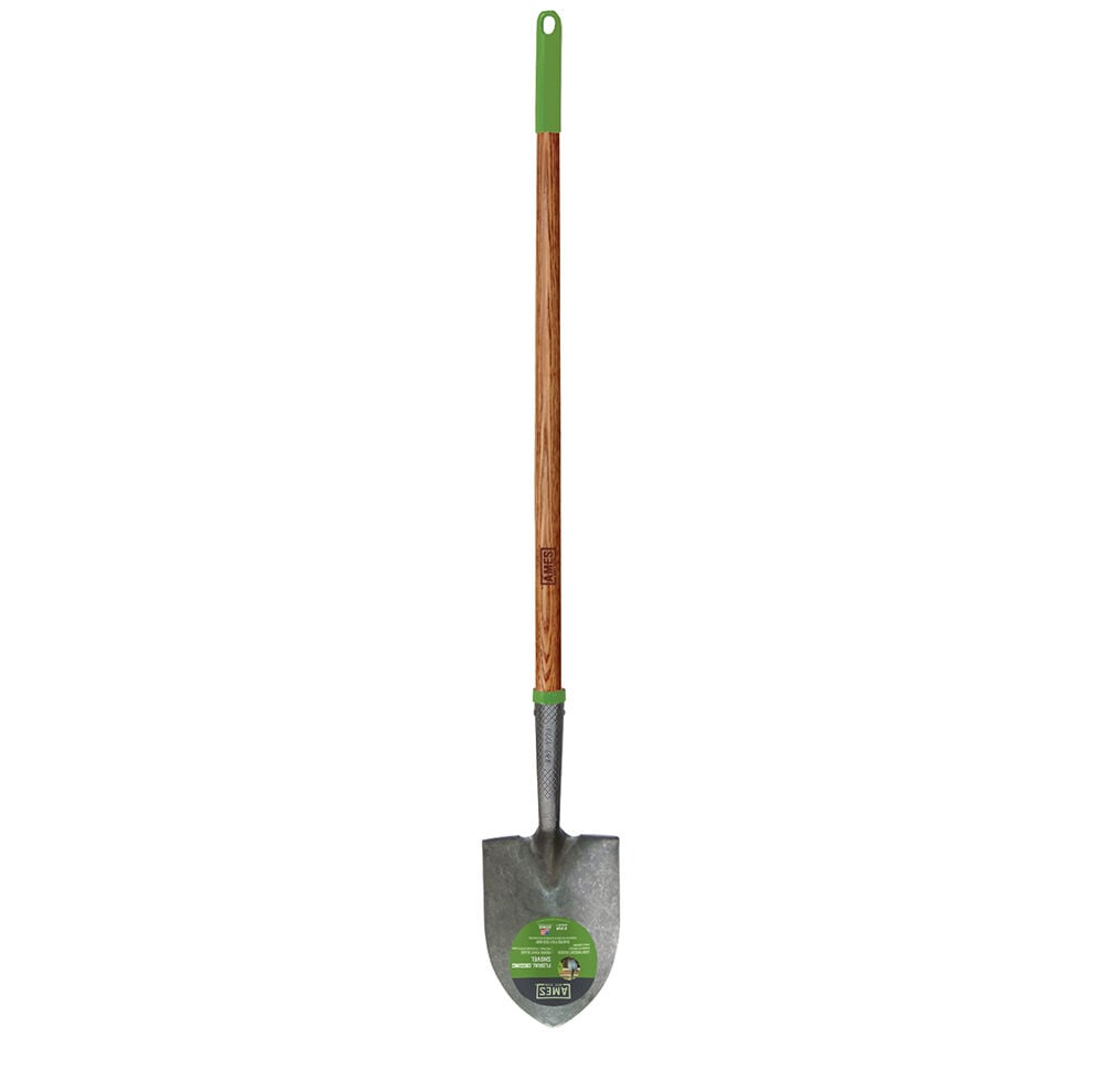 Ames Round Point Shovel - Thumbnail 2