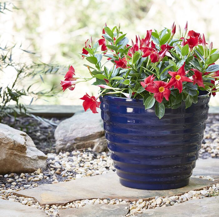 14" Beehive Planter image number 2