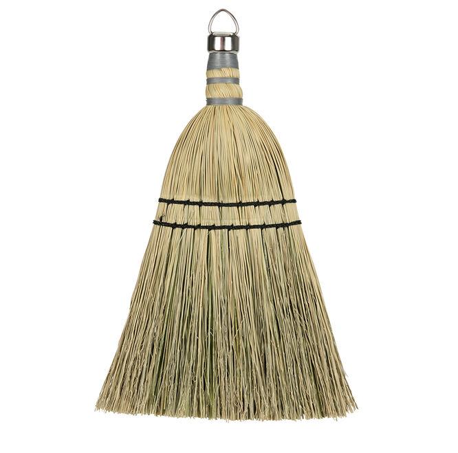 Whisk Broom