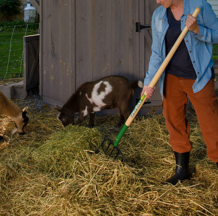 5- Tine Manure Fork image number 3