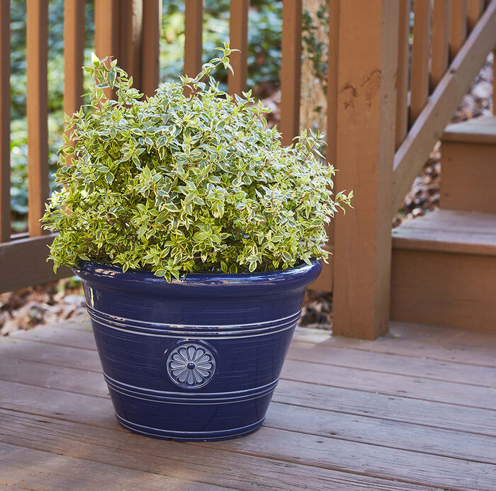 12" Modesto Planter image number 1