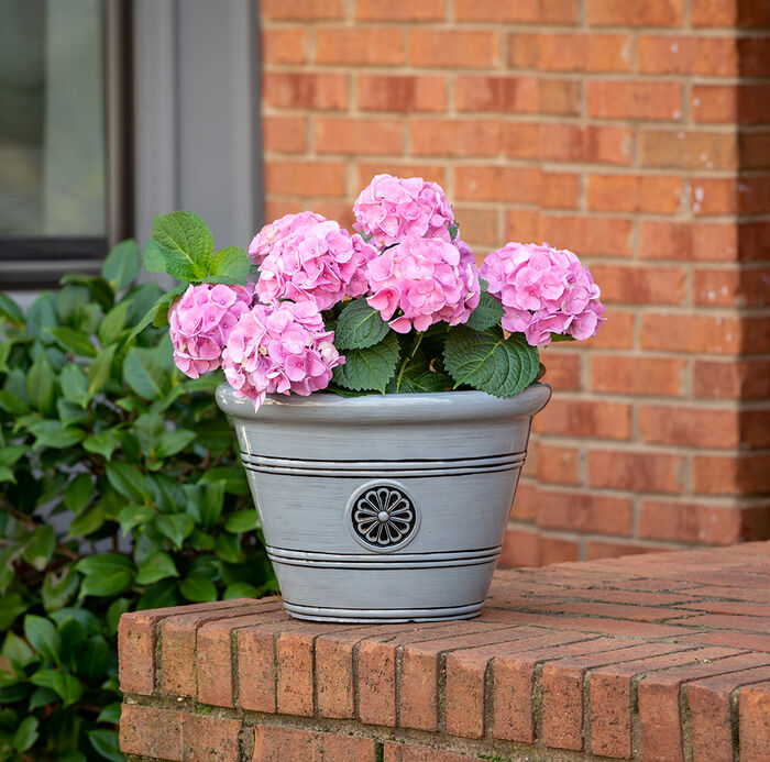 15" Modesto Planter image number 1