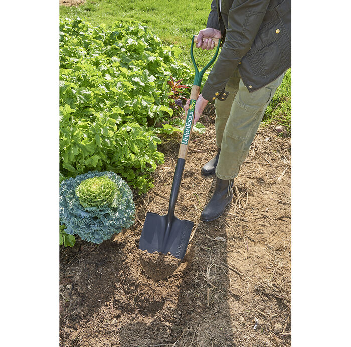 D-Handle Digging Shovel image number 4