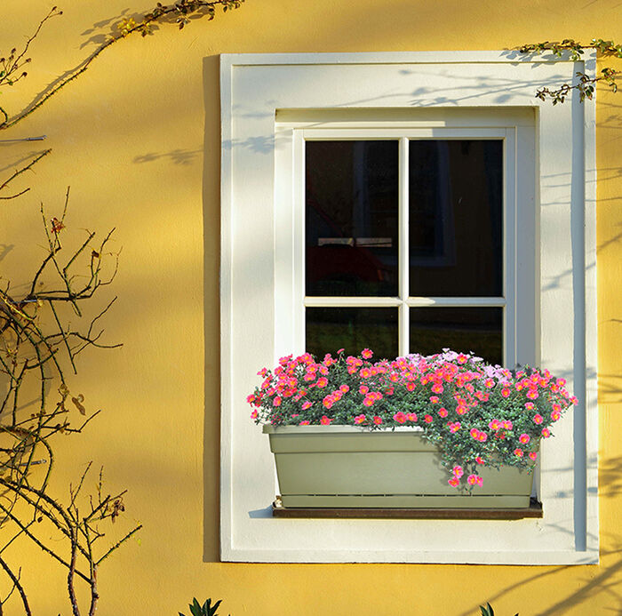 18" Rolled Rim Window Box w/ AttachedTray image number 2