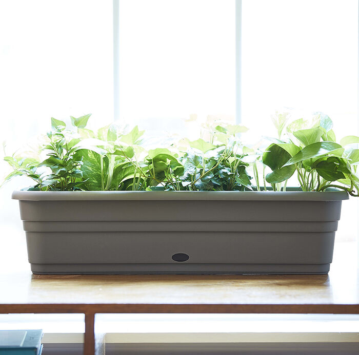 24" Jackson Self-Watering Window Box w/ Attached Tray image number 1