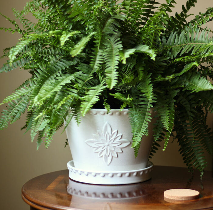 8" Lorna Ceramic Planter, White (2-Pack) image number 1