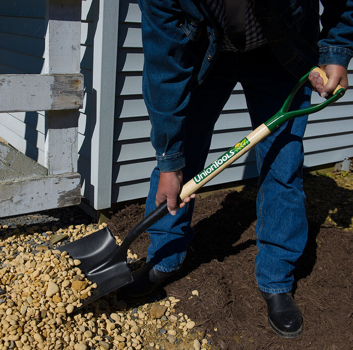 D-Handle Transfer Shovel image number 2