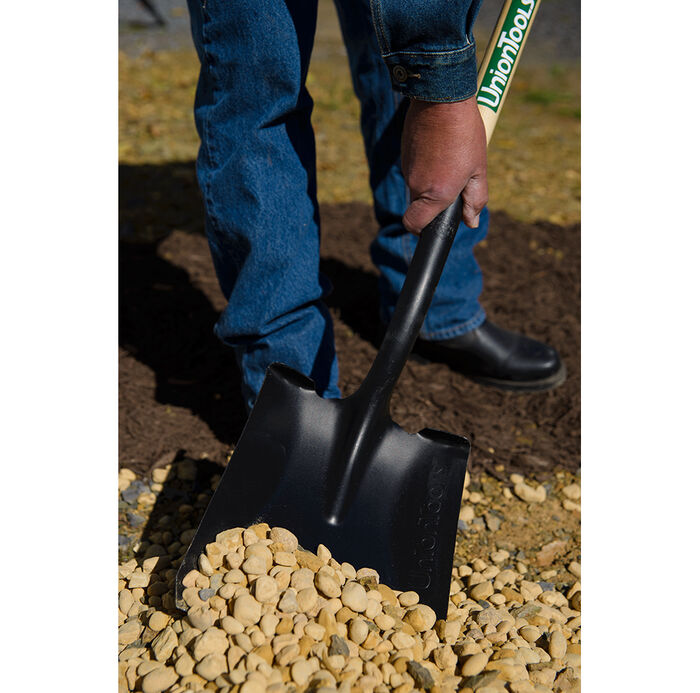 D-Handle Transfer Shovel image number 3
