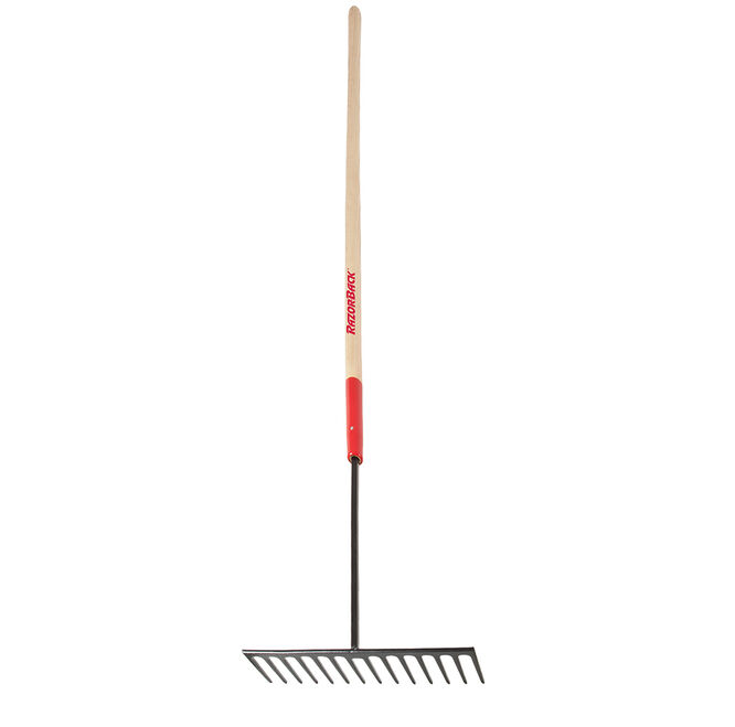 14 Tine Asphalt Rake, Forged, with Wood Handle