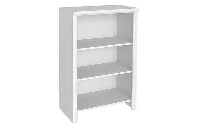 4- Shelf Organizer