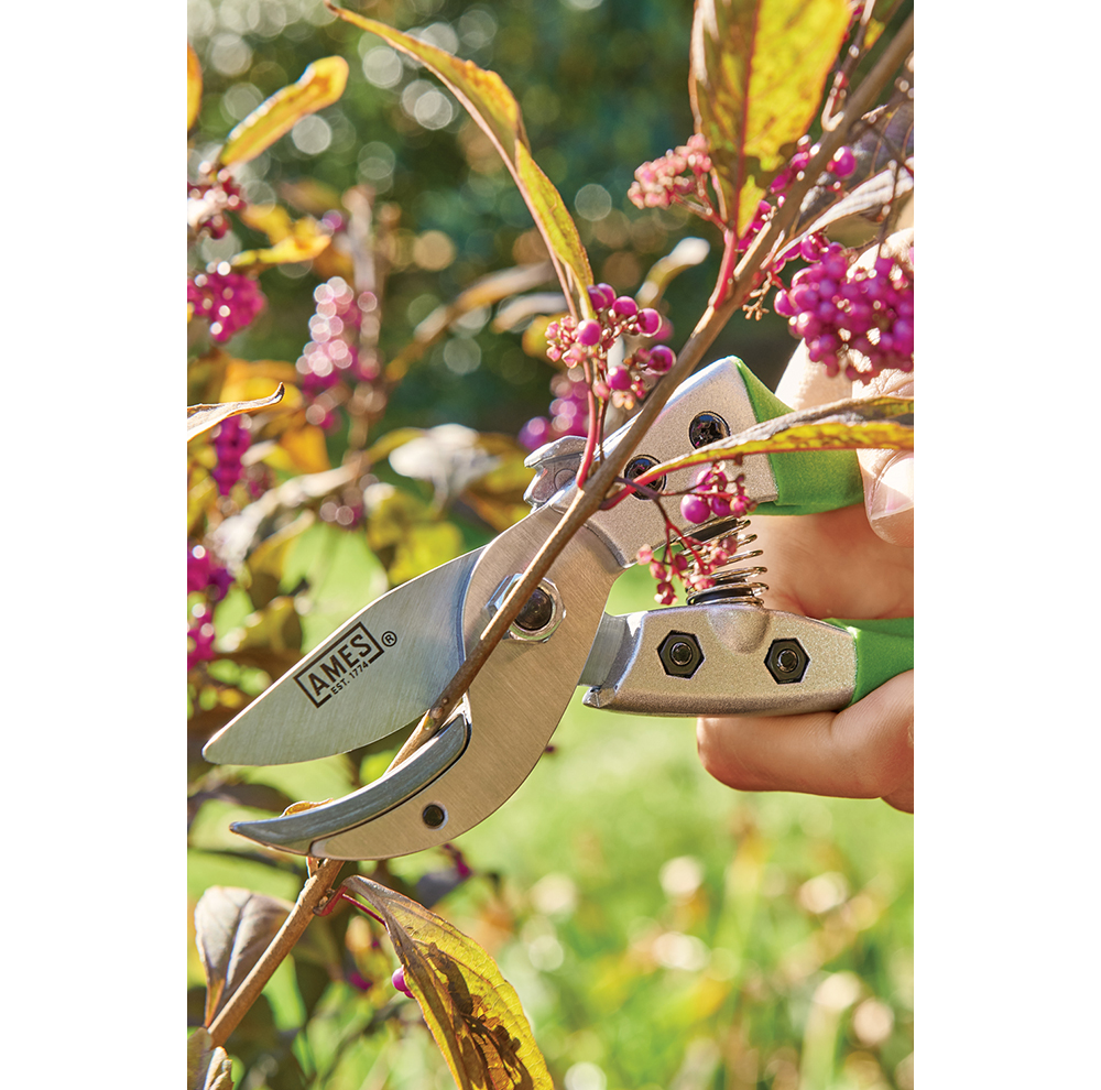 4Piece Pruning Tool Kit With Case Home by AMES